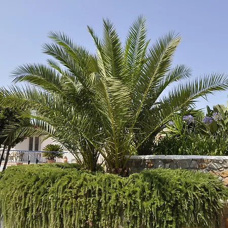 Il Mediterraneo - Adults Only Ponza